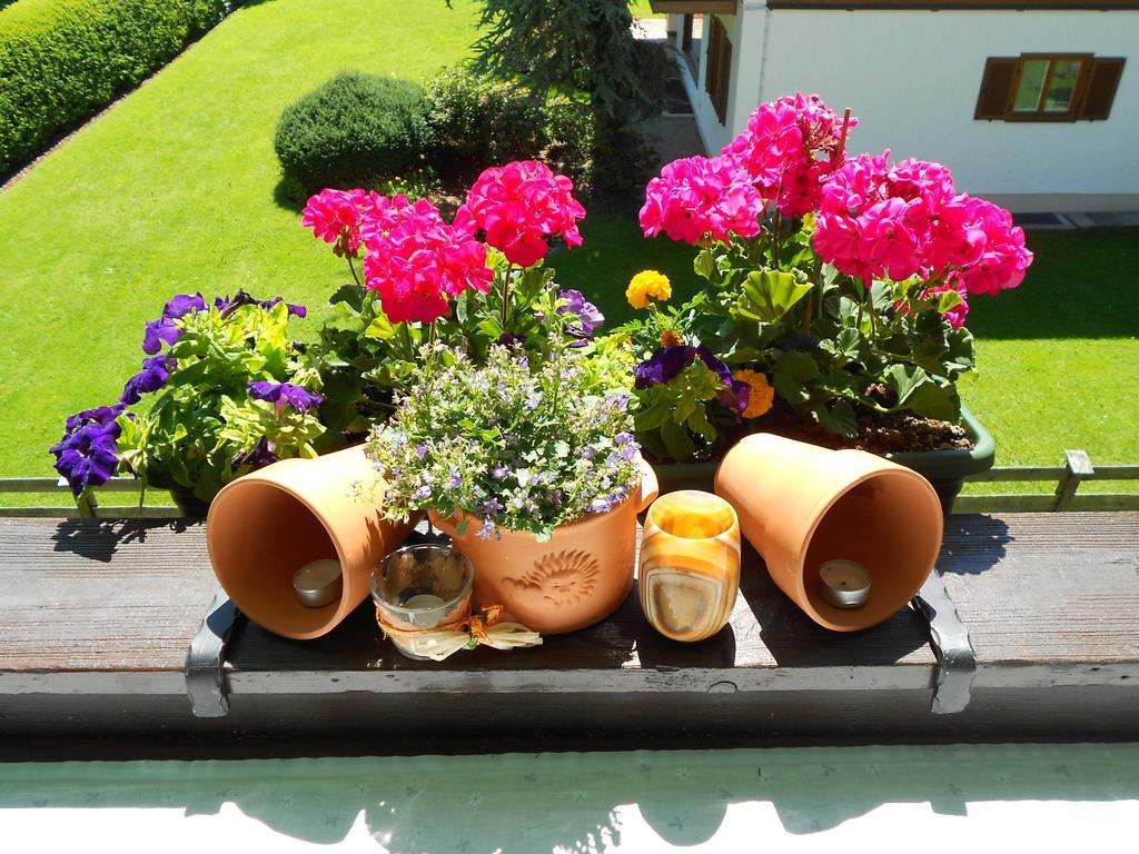 Maria Apartment Rotta